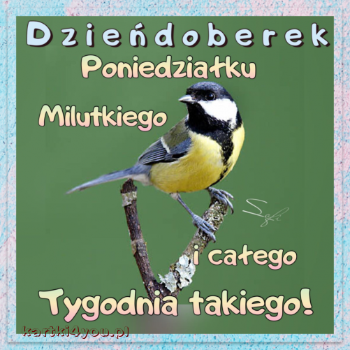 Milutkiego Poniedziałku!