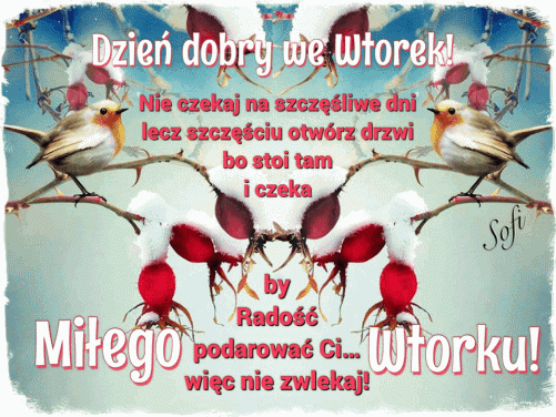 Dzień dobry we Wtorek!