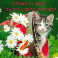 Witam milutko w Sobotę!