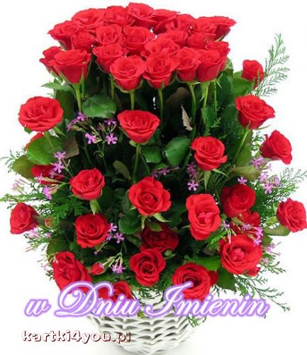 Najpiękniejsze życzenia i róże dla Ciebie! 