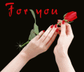 Walentynkowa roża pełna miłości dla Ciebie