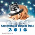 Szczęśliwego Nowego Roku 2016!