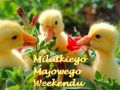 Milutkiego i pogodnego Weekendu majowego!