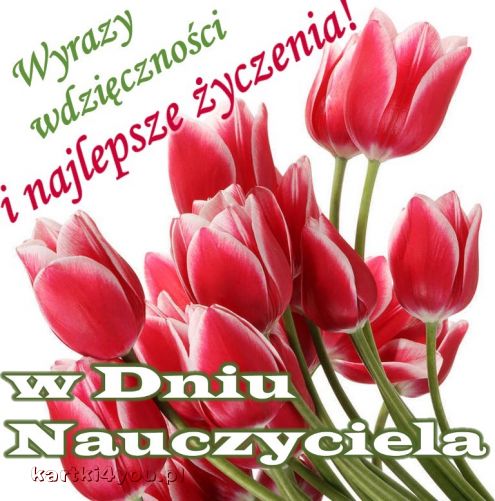 Wyrazy wdzięczności i najlepsze życzenia!