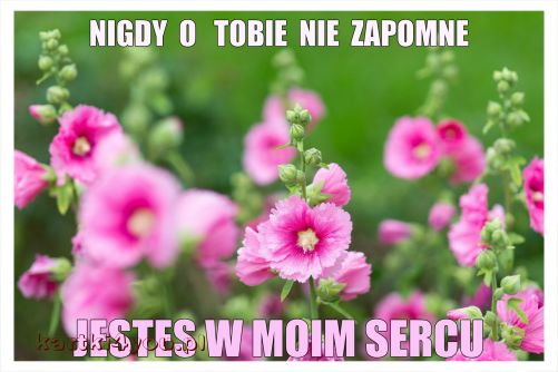 ...Jesteś w moim sercu...