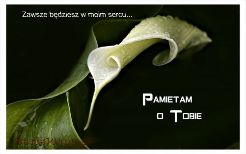 Pamiętam o Tobie...