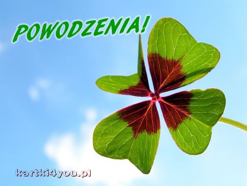 Powodzenia! 