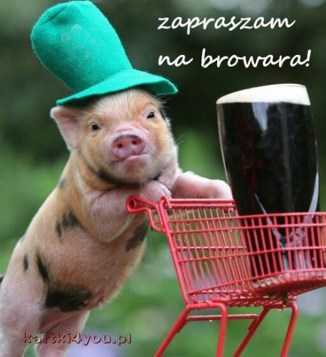 Zapraszam na browara!