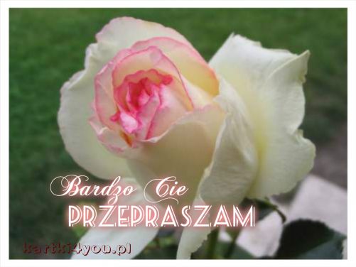 Bardzo Cię PRZEPRASZAM!