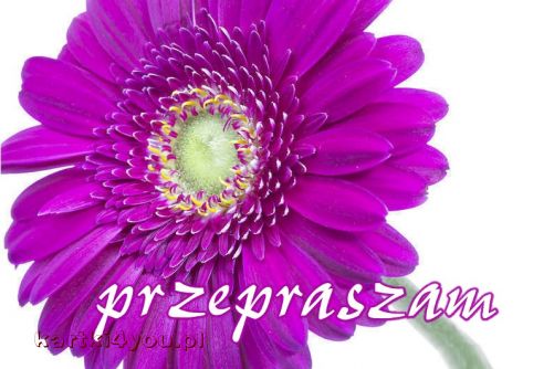 Bardzo Cię przepraszam....