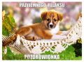 Przyjemnego relaksu:)